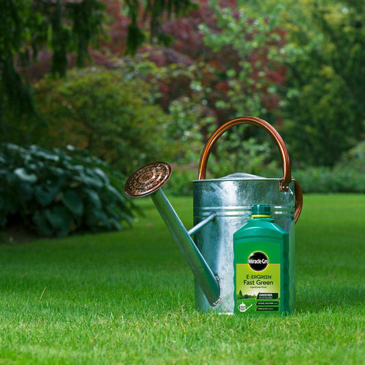 Evergreen Fast Green Lawn Liquid Concentrated 1ltr
