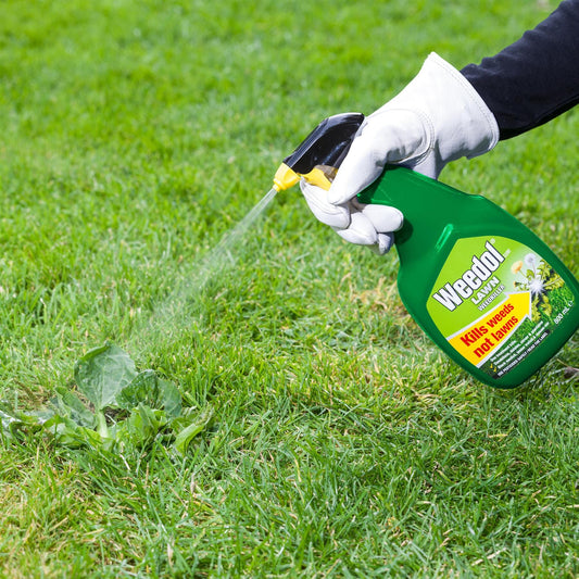 Weedol Lawn Weedkiller Ready to Use Spray Gun 800ml Weed Killers | Snape & Sons