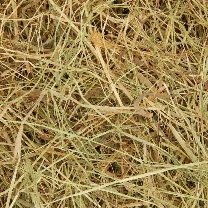 Finest Meadow Hay Large