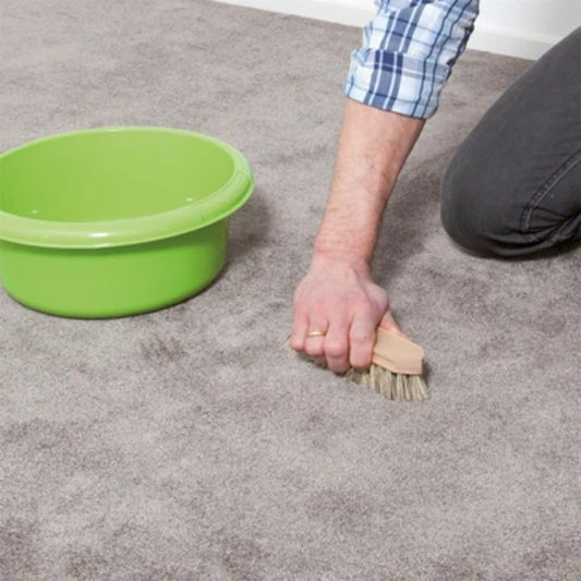 Carpet and Couch Cleaner