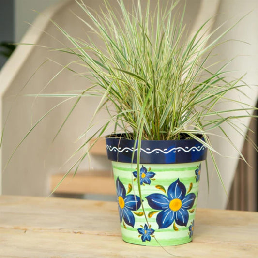 Zest Indoor Plant Pot Verde 15cm