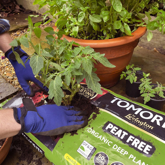 Tomorite Peat-Free Organic Deep Fill Grow-Bag Planter