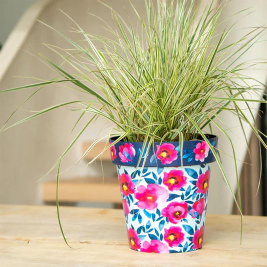 Zest Indoor Plant Pot Pink Poppies 15cm