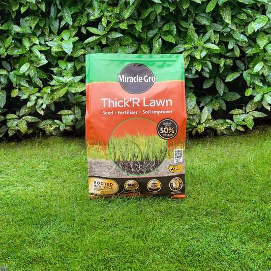 ThickR Lawn Improver Seed + Fertiliser 80m2