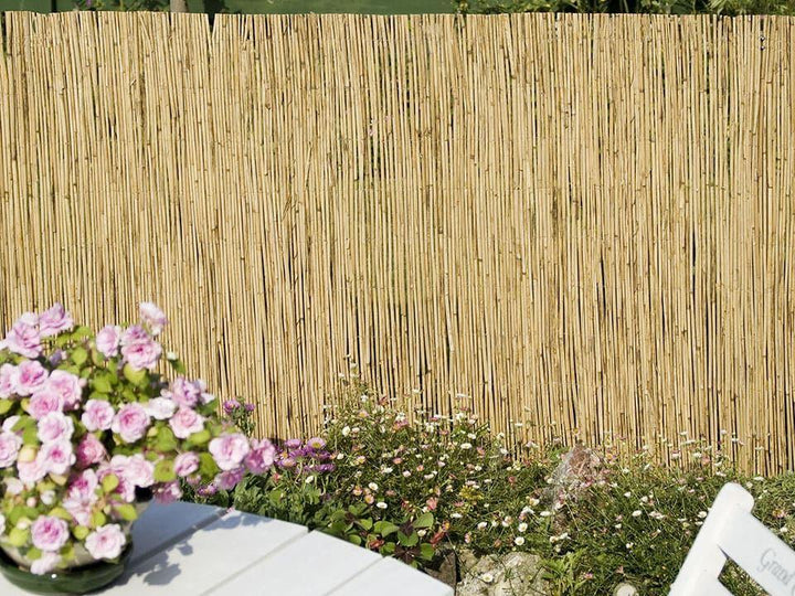 Apollo Garden - Reed Screen 2m x 4m Garden Screening | Snape & Sons