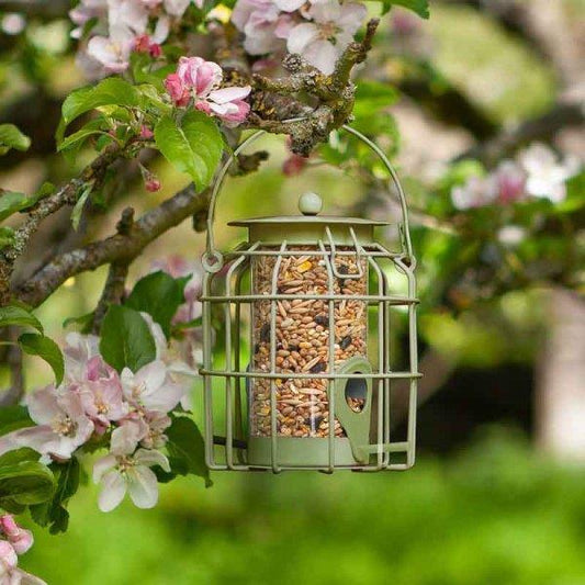 Compact Seed Feeder
