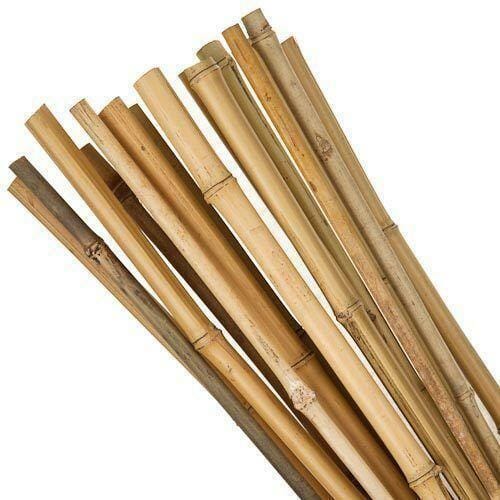 CLA Pro Natural Bamboo Cane 4ft - 120cm Garden Canes | Snape & Sons