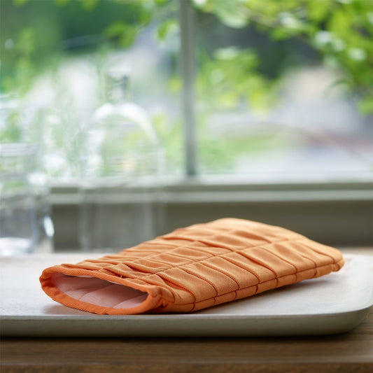 Window Cleaning Mitt