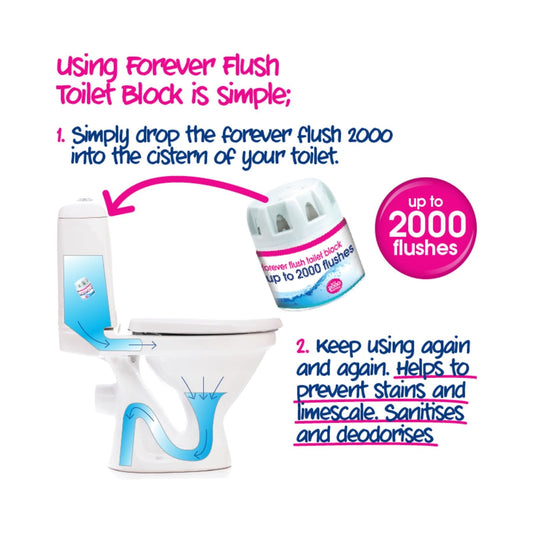 Ecozone - Forever Flush 2000 Blue Toilet Block Twin Pack Toilet Cleaners | Snape & Sons