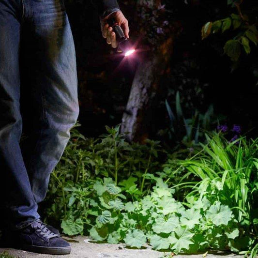 Eureka Lighting - Power Mega-Beam 320 Lumen Torch Torches | Snape & Sons