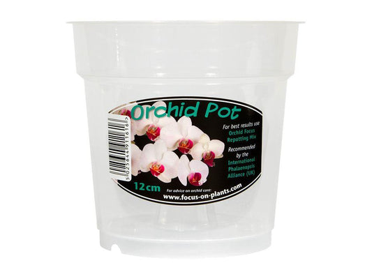Growth - Orchid Pot 12cm Flower Pots | Snape & Sons