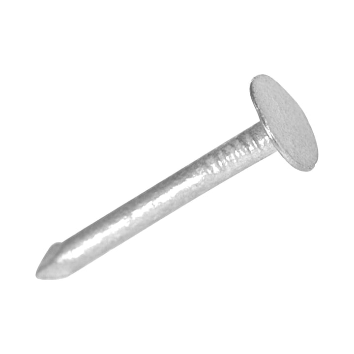 Home Hardware 19mm Galvanised Clout Nails 250g Clout Nails | Snape & Sons
