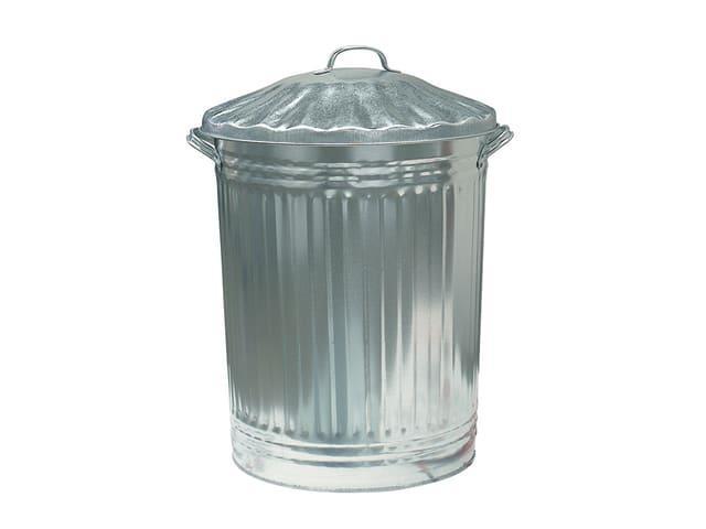Home Hardware - 80l Galvanised Dustbin with Lid Dustbins | Snape & Sons