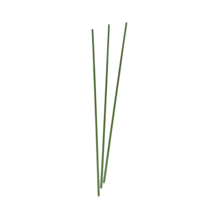 Home Hardware Flower Plant Sticks 60cm x20 Garden Canes | Snape & Sons