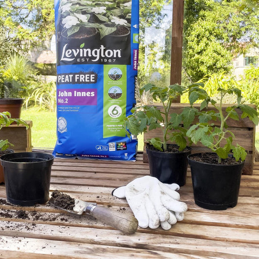 Levington - John Innes No.2 Peat Free Compost 10L Compost | Snape & Sons