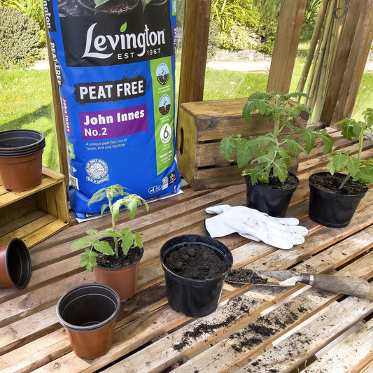 Levington - John Innes No.2 Peat Free Compost 10L Compost | Snape & Sons