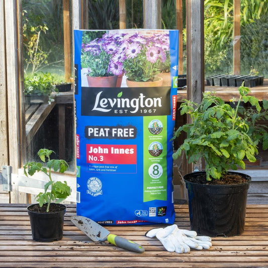 Levington - John Innes No.3 Peat Free Compost 10L Compost | Snape & Sons