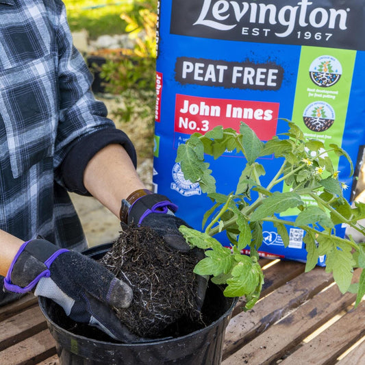 John Innes No.3 Peat Free Compost 10L