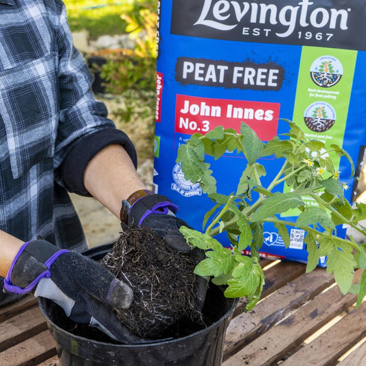 Levington - John Innes No.3 Peat Free Compost 10L Compost | Snape & Sons