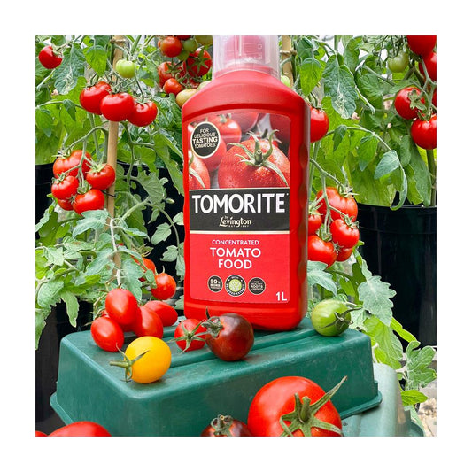 Levington - Liquid Tomorite 1.2L - 20% EXTRA FREE Liquid Plant Feeds | Snape & Sons