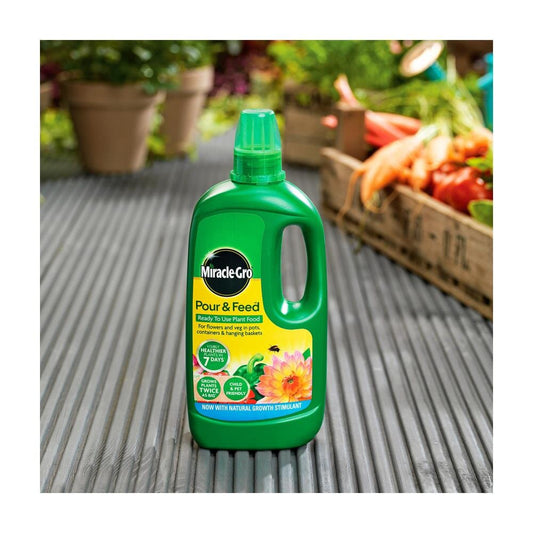 Miracle Gro All Purpose Pour & Feed Plant Food Liquid Plant Feeds | Snape & Sons