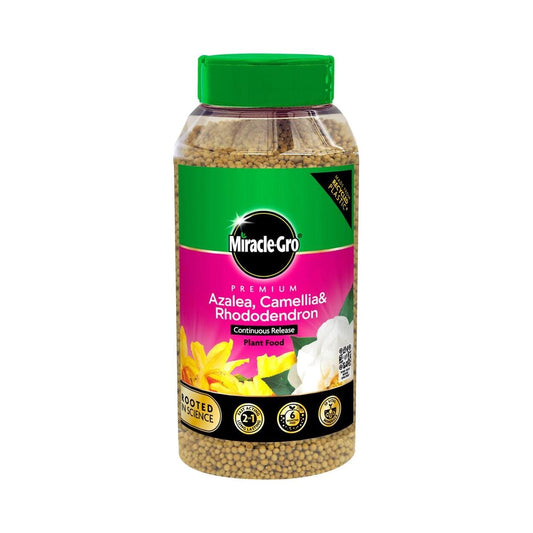 Miracle Gro - Ericaceous Continuous Plant Feed Granules 900g Plant Feed | Snape & Sons