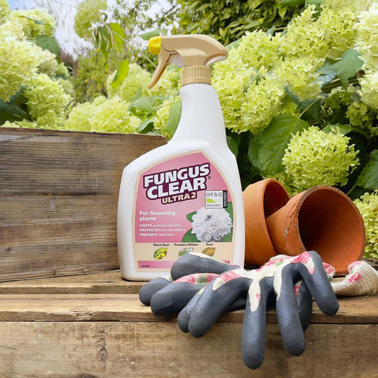FungusClear Ultra 2 Gun! 800ml