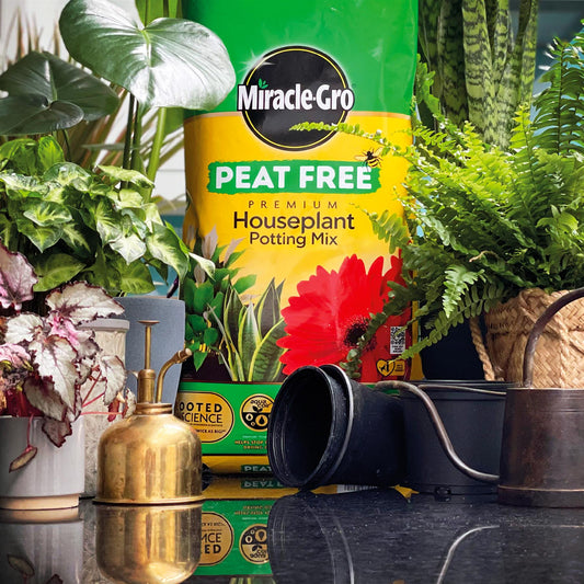 Miracle Gro - Houseplant Potting Compost 10l Peat-Free Compost | Snape & Sons