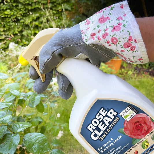 Miracle Gro RoseClear 3-in-1 Action Gun! 800ml Fungus Control | Snape & Sons