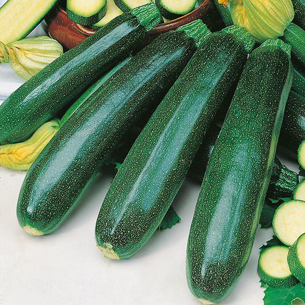 Mr Fothergill's - COURGETTE Zucchini Seeds Vegetable Seeds | Snape & Sons