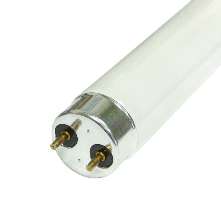 Multiple Brands - 18in 15W T8 Fluorescent Tube Fluorescent Tubes | Snape & Sons