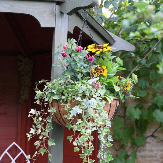 Smart Hanging Basket 14 inch