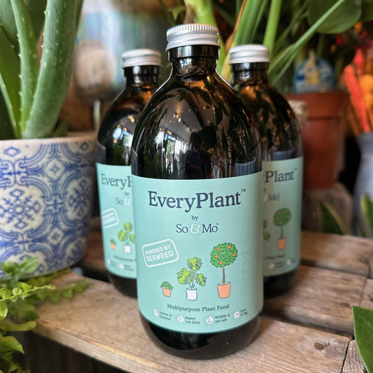So & Mo EveryPlant Multi-Purpose Plant Food with Seaweed Liquid Plant Feeds | Snape & Sons