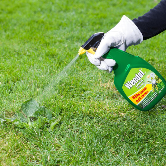 Lawn Weedkiller Ready to Use Spray Gun 800ml