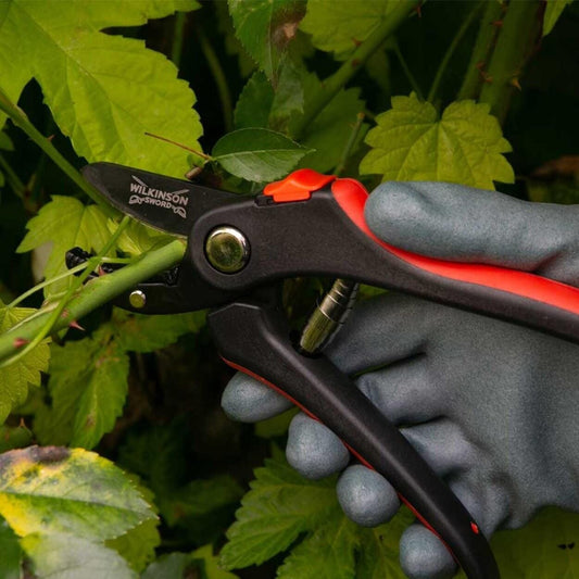 Wilkinson Sword - Anvil Secateurs Secateurs | Snape & Sons