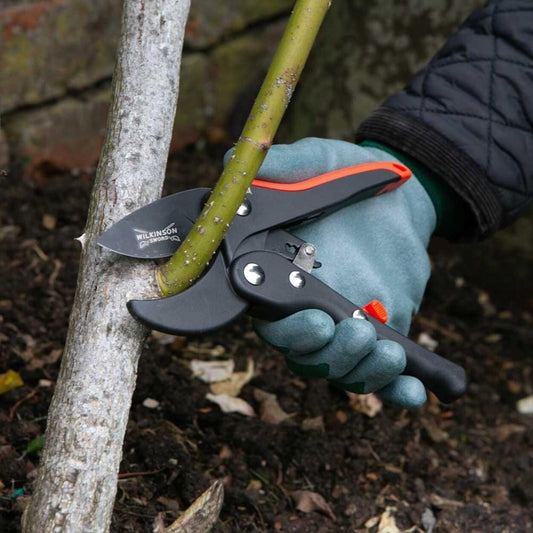 Ratchet Anvil Secateurs