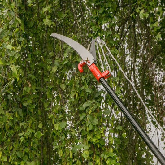 Wilkinson Sword - Telescopic Tree Cutter and Saw Pruning Saws | Snape & Sons