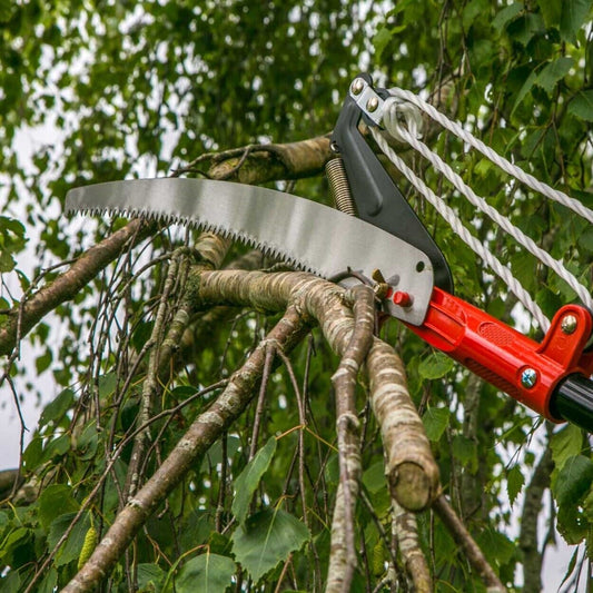 Wilkinson Sword - Telescopic Tree Cutter and Saw Pruning Saws | Snape & Sons
