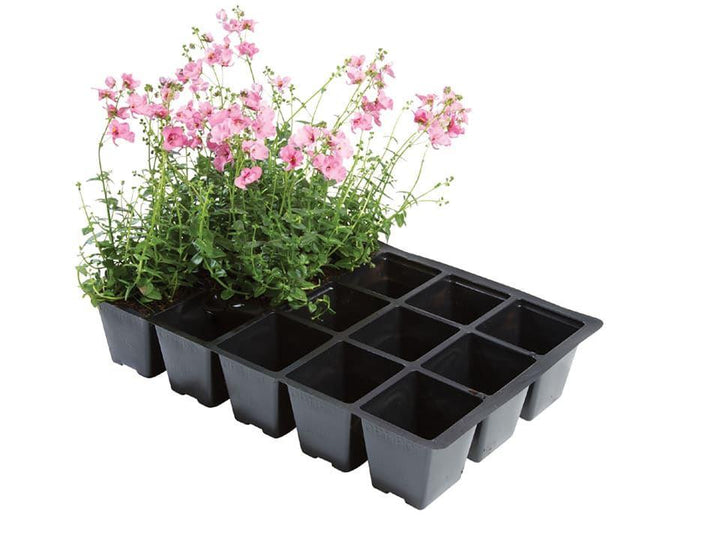 Worth - 15 Cell Insert Seed Trays x5 Seed Trays | Snape & Sons
