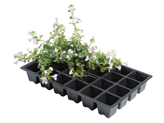 Worth - 24 Cell Insert Seed Trays x5 Seed Trays | Snape & Sons