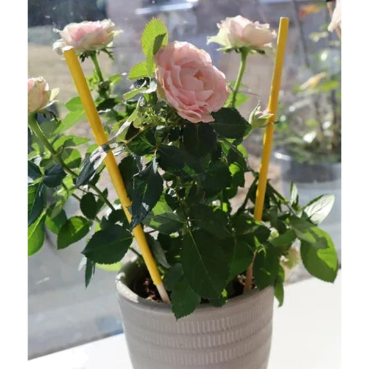 Potted Plant Anti-Bug Sticks x6 Pack