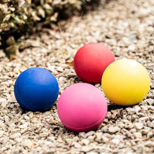 Zöon Pets Rubber Pooch Ball Dog Balls | Snape & Sons