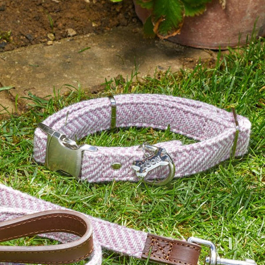 Zöon Pets Walkabout Country Dog Collar Medium Blush Dog Collars | Snape & Sons