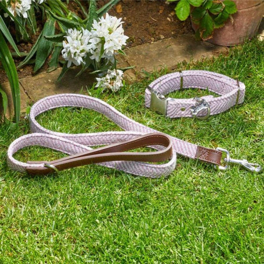 Zöon Pets Walkabout Country Dog Lead Blush Dog Leads | Snape & Sons